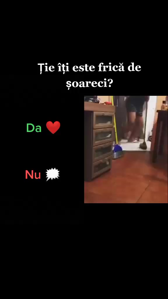 @💙Darii 💙