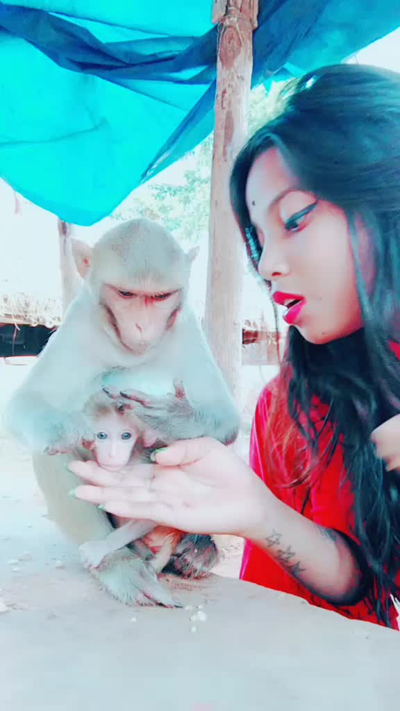 @😍animal lover😍