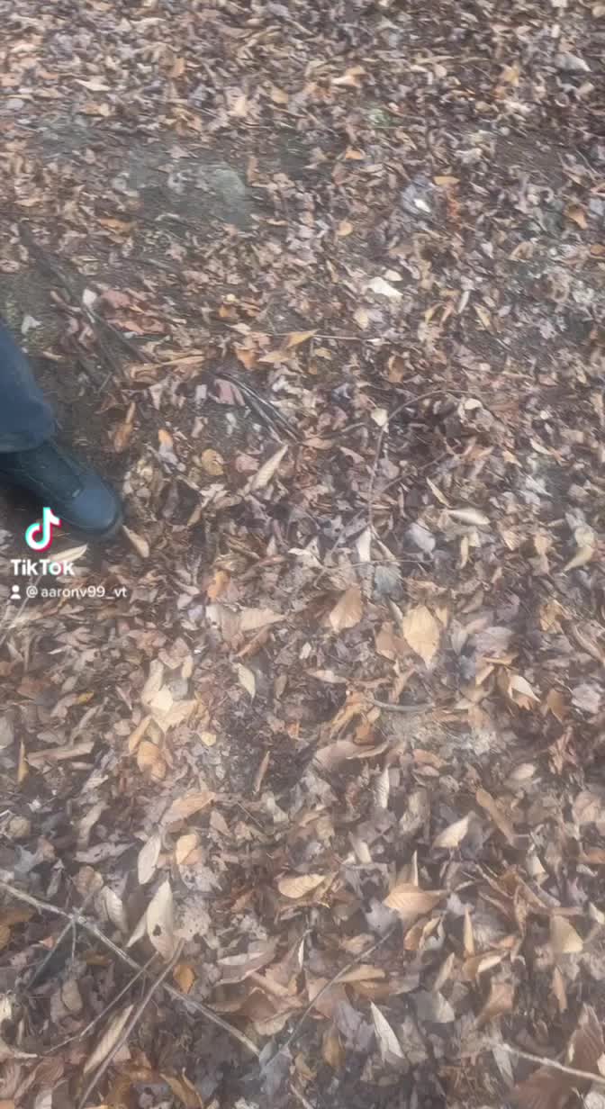 @Aaron_VT