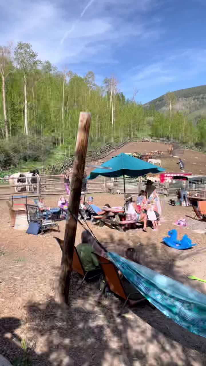 @Vail Stables