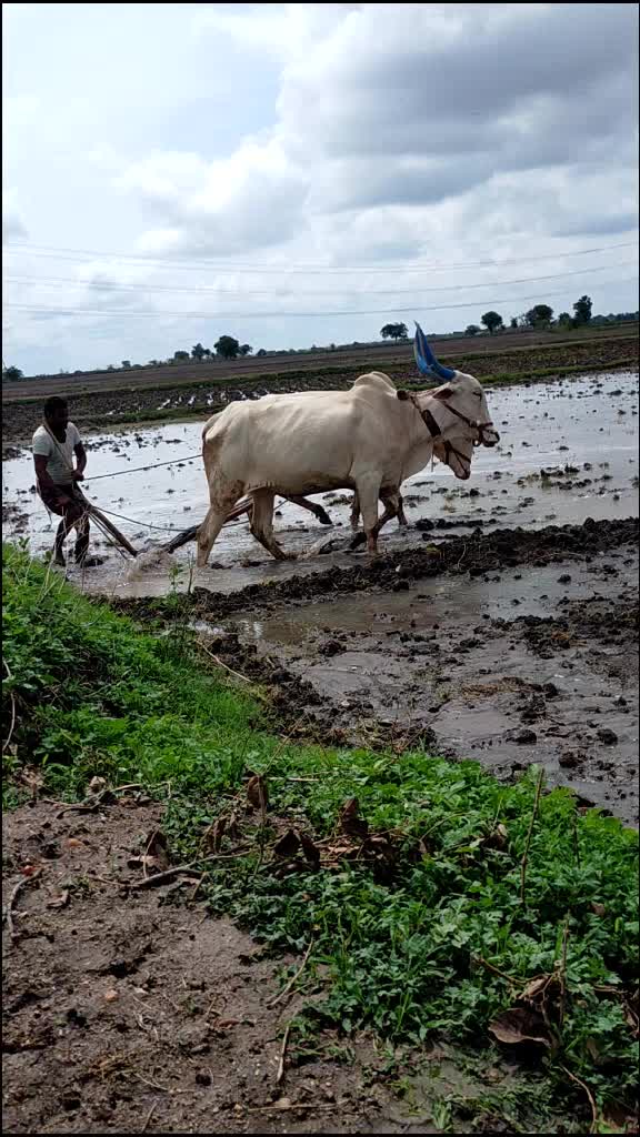 @user2673801643757