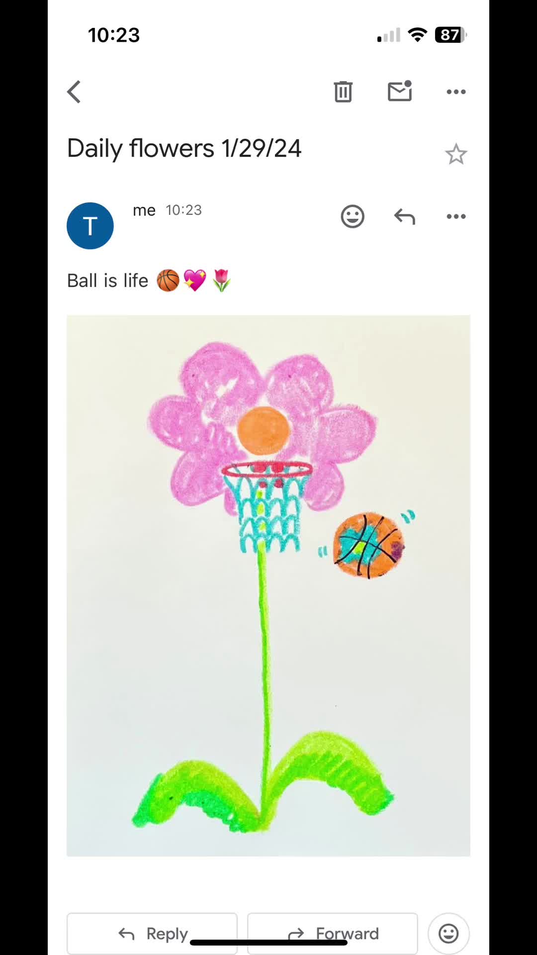 @Tims daily flowers