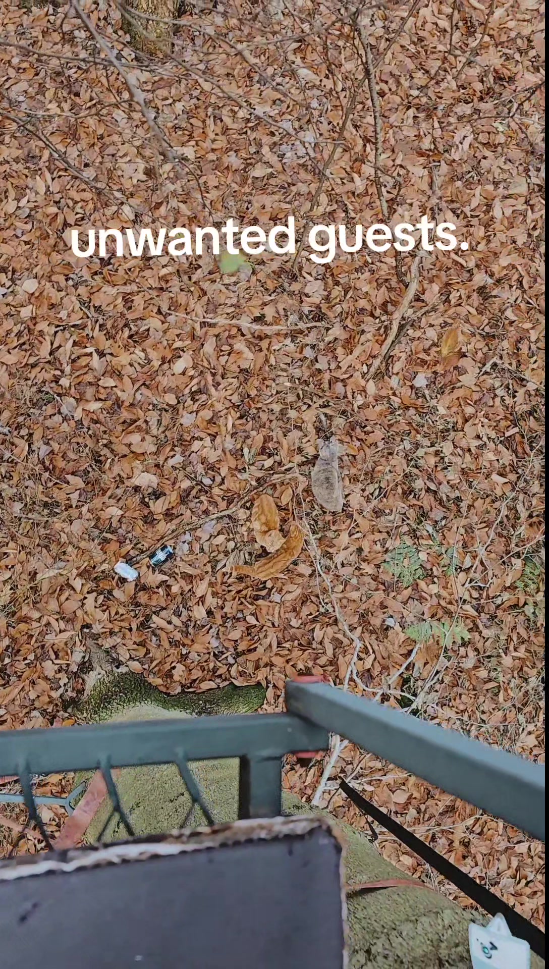 @Saralynn