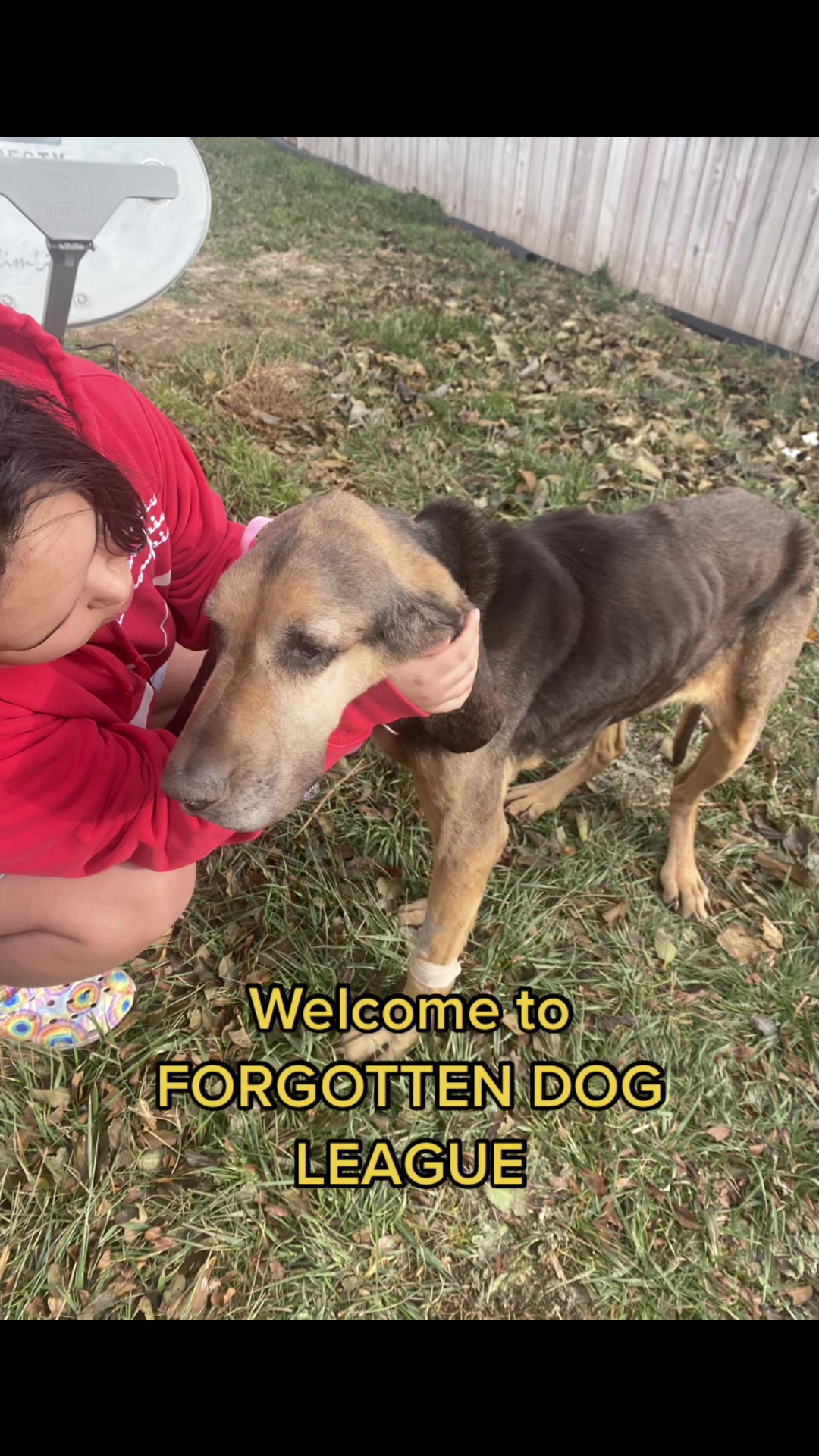 @Jessica ForgottenDogLeague