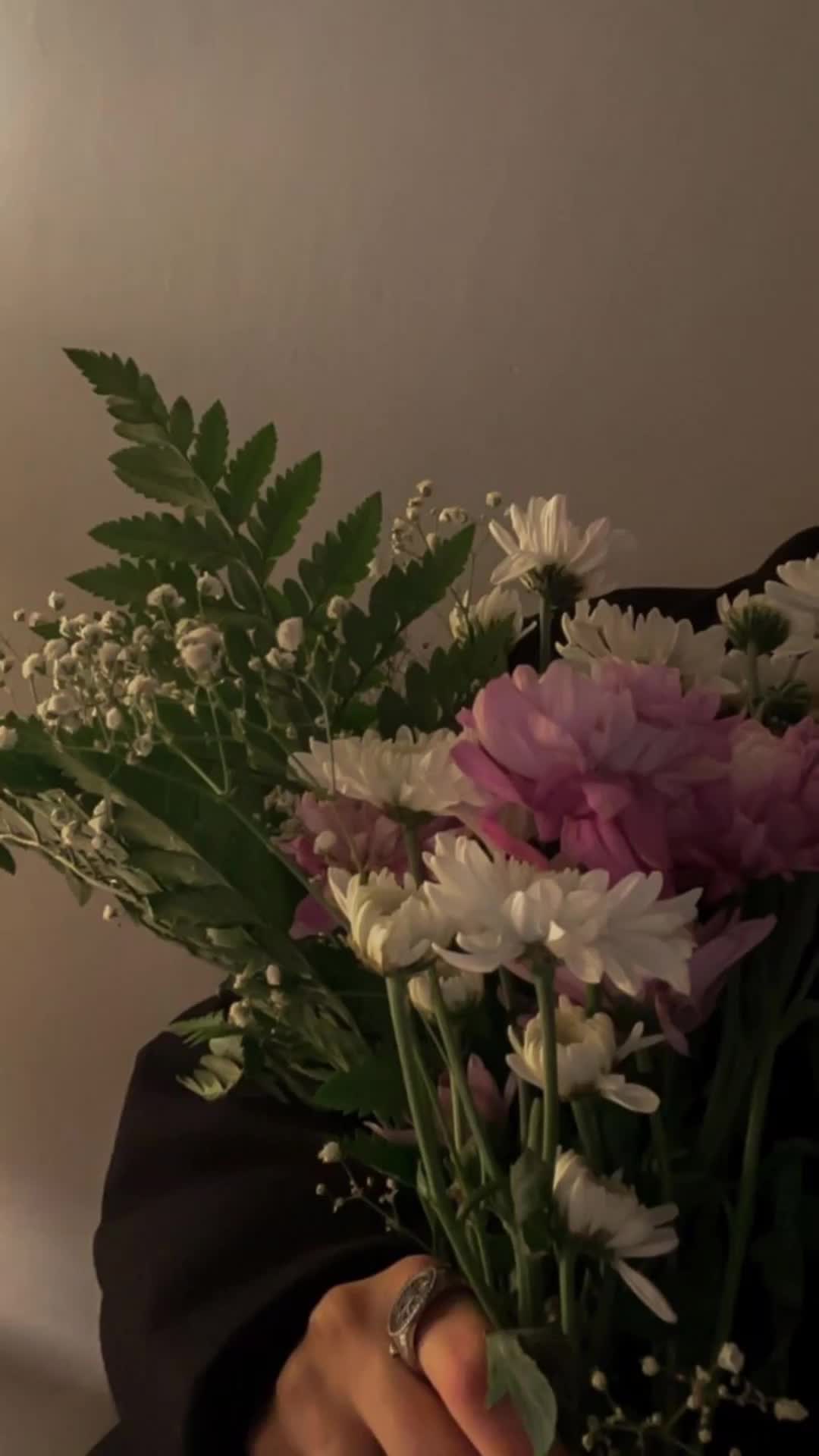 @safawww