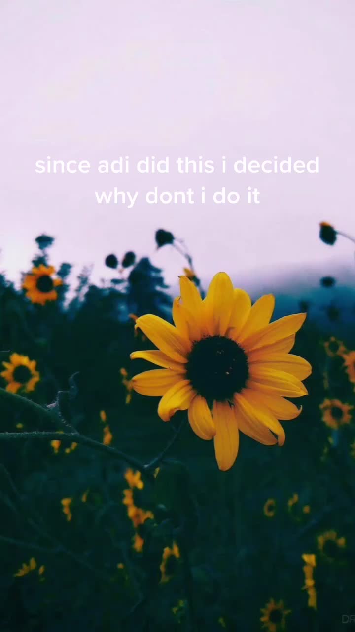 @𝗹𝗶𝗮𝗻 & 𝗮𝗱𝗶