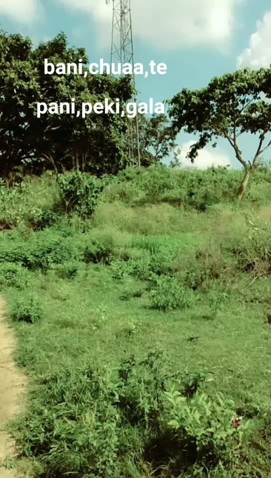@user4080216271162