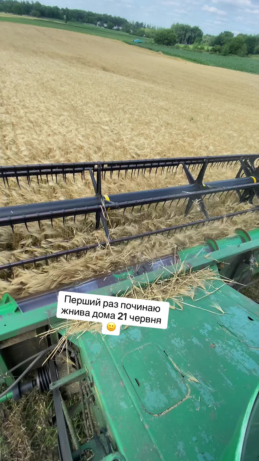 @Denys Pluzhnyk