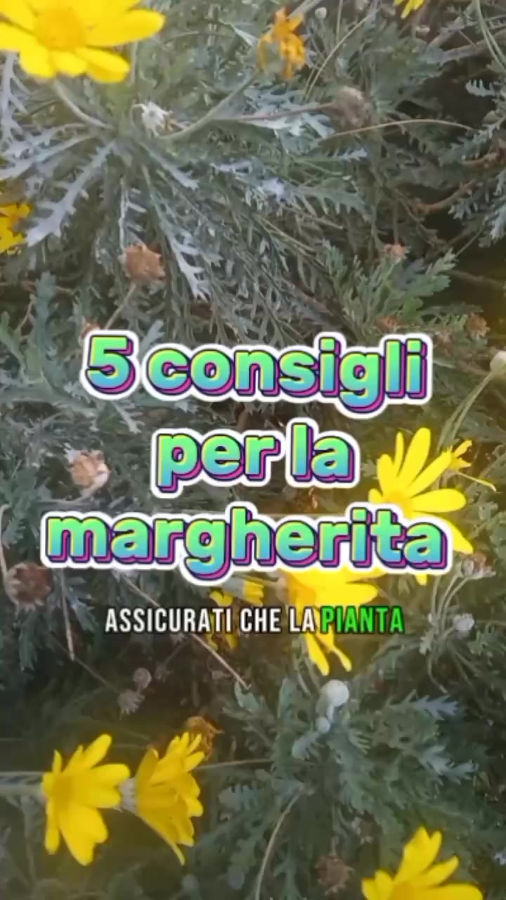 @Il giardiniere felice