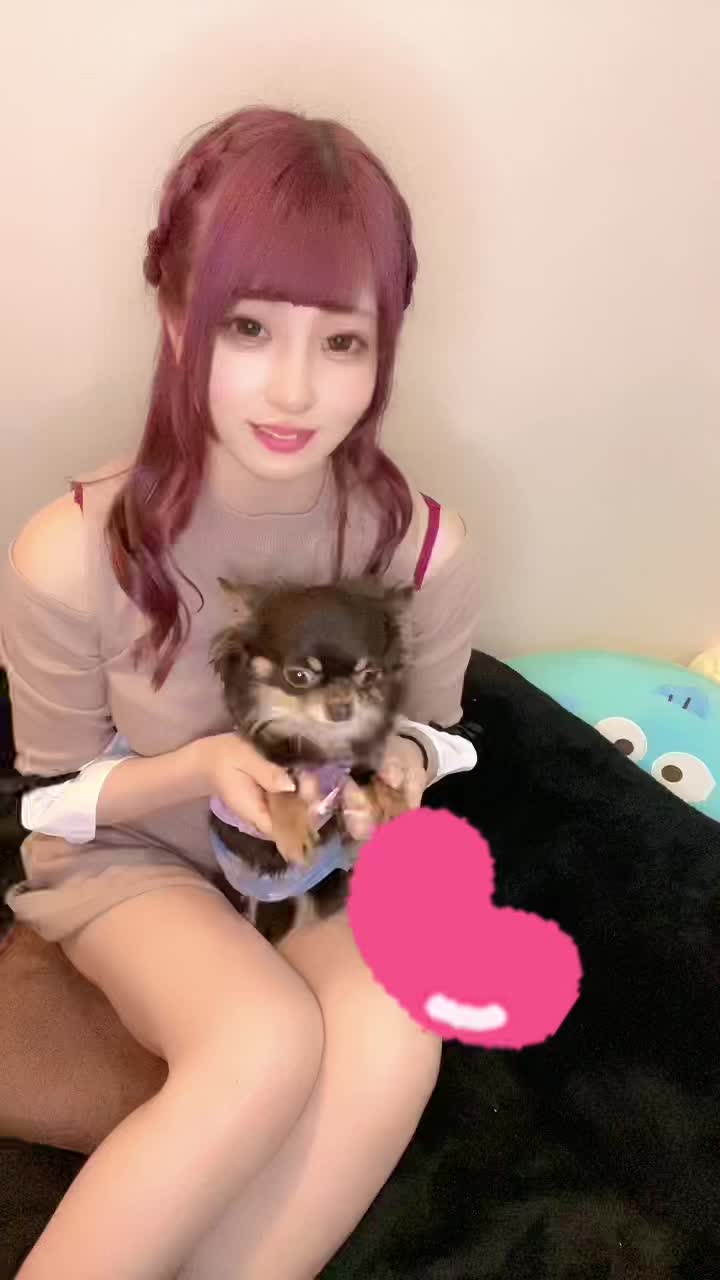 @月野あいな🐶