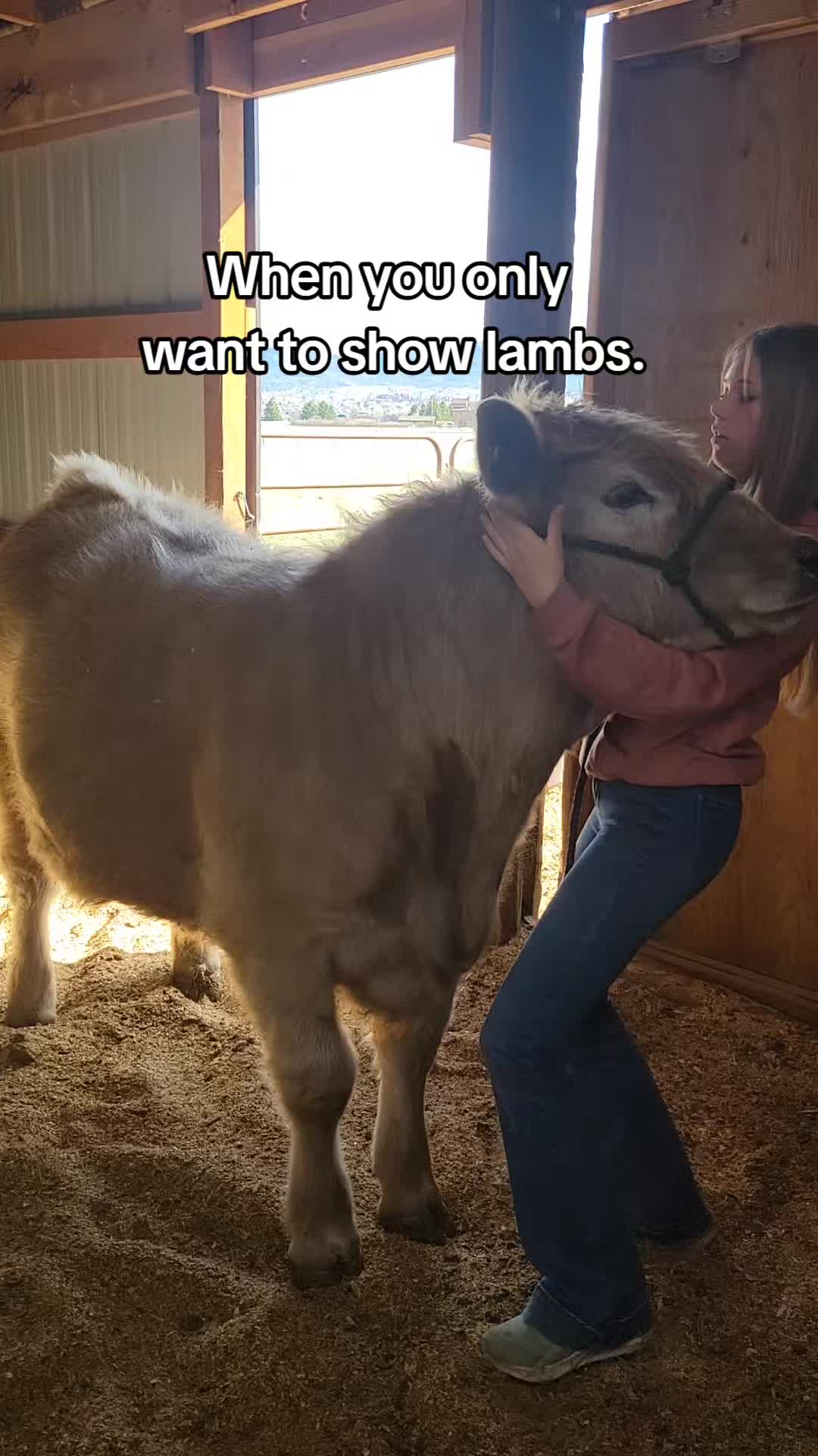 @Skinner Show Lambs