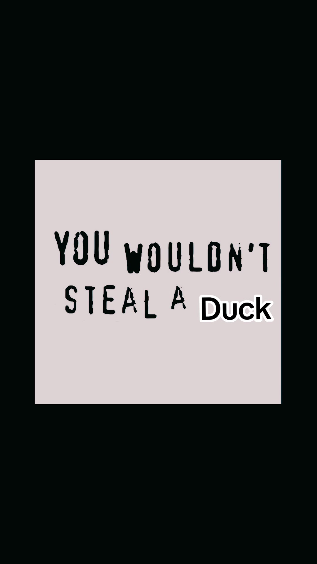 @TheDirtyDuckWarwickSU