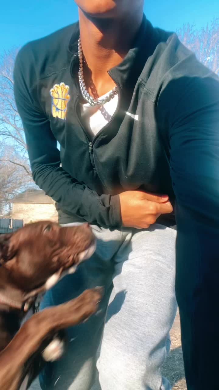@Pitviporrob