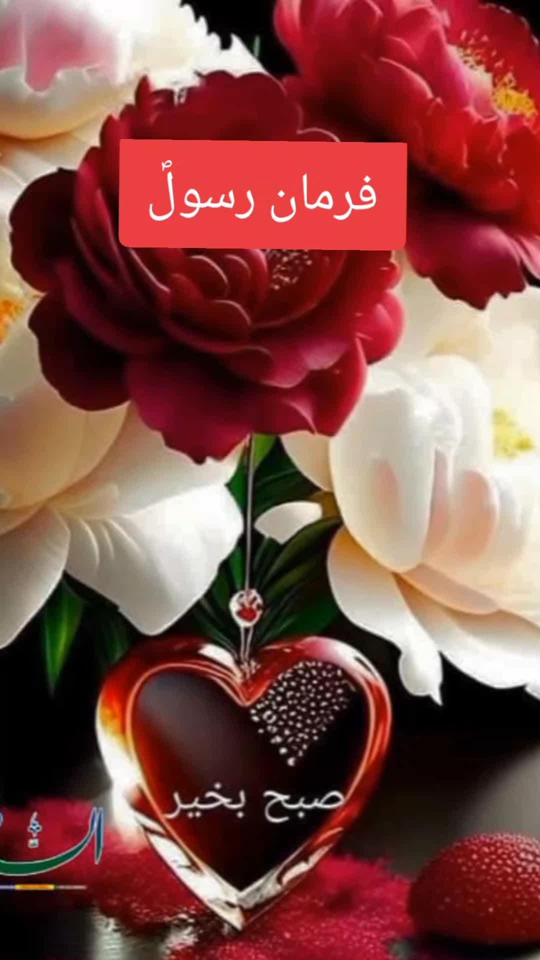 @zulfiqar Ali