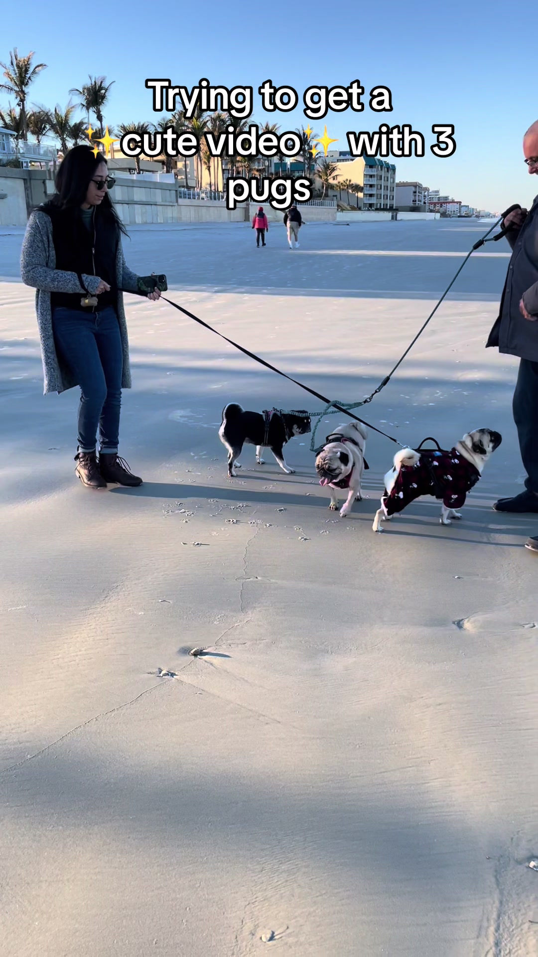 @Rigatoni the Pug