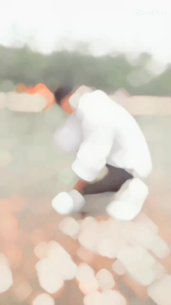 @singal_boy
