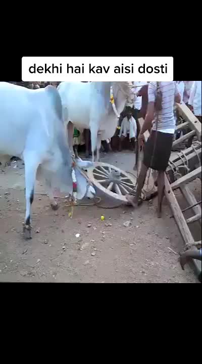 @kya karoge mera