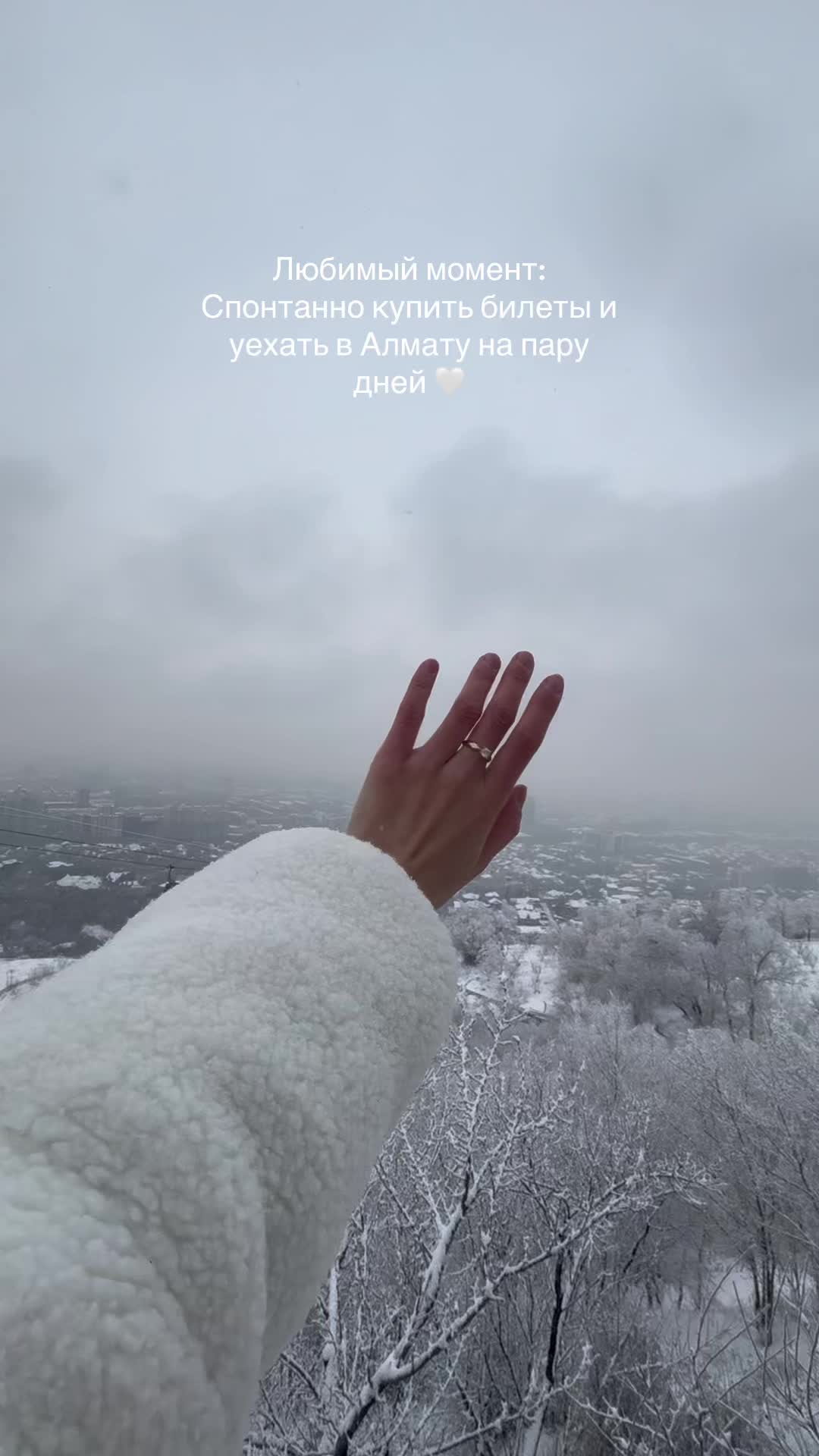 @Aqsunqar 🕊️🤍