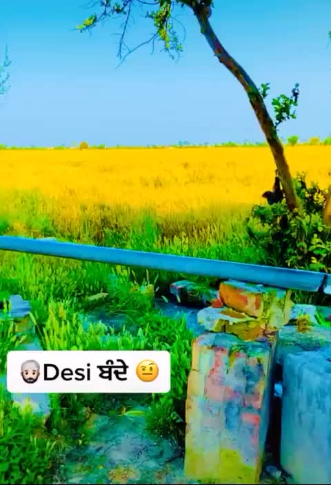 @pindo Bhar Mitra Da Dera