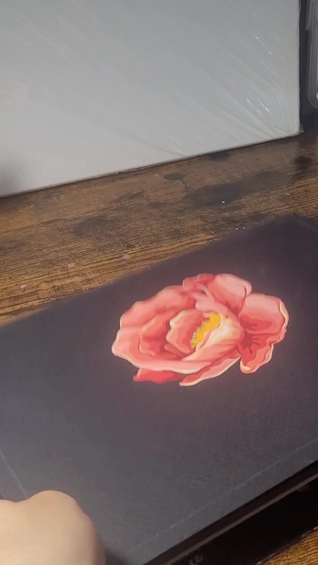 @ManonRc_draw