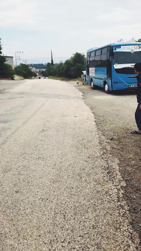 @TALAT GÜLMEN