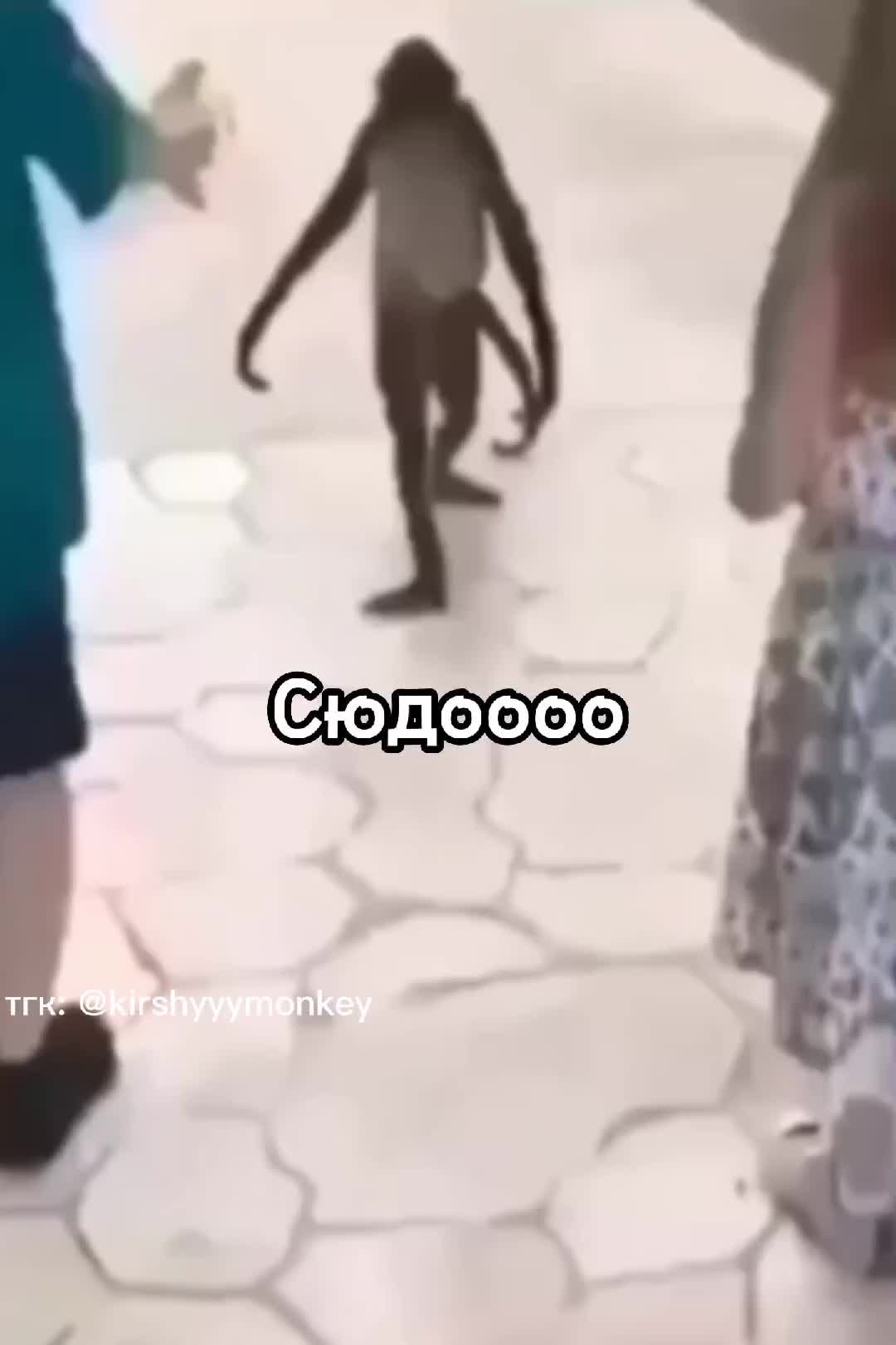 @🍌Киршу Монке🍌
