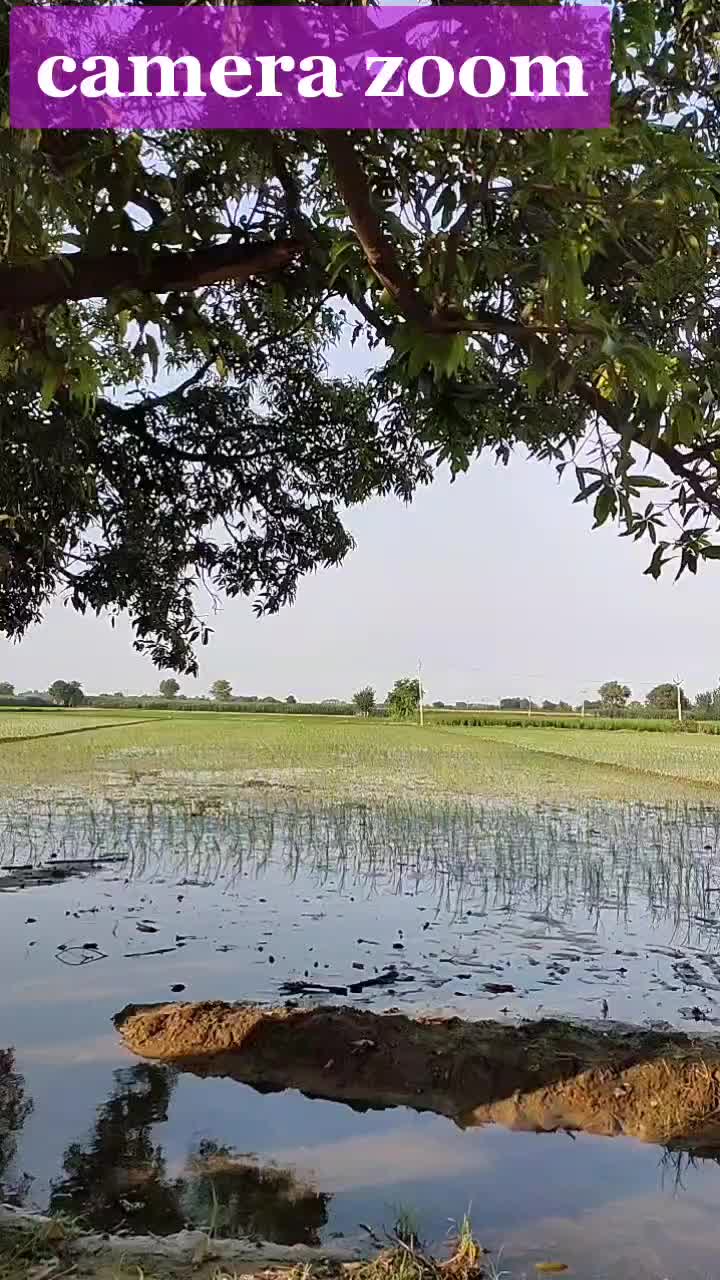 @TarjanChoudharyji