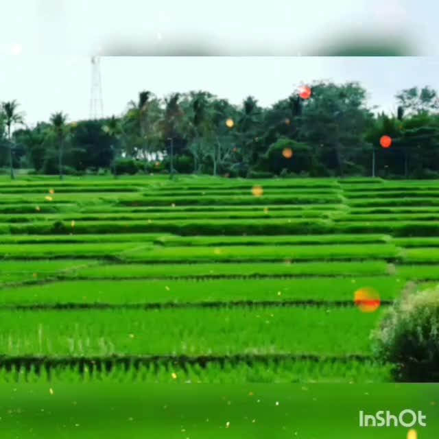 @Harish nayaka R