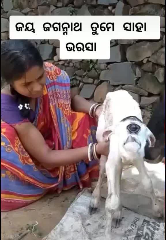 @Krushna C.H Pradhan