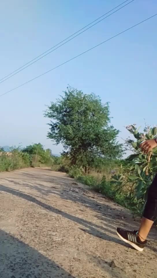@stylistneha