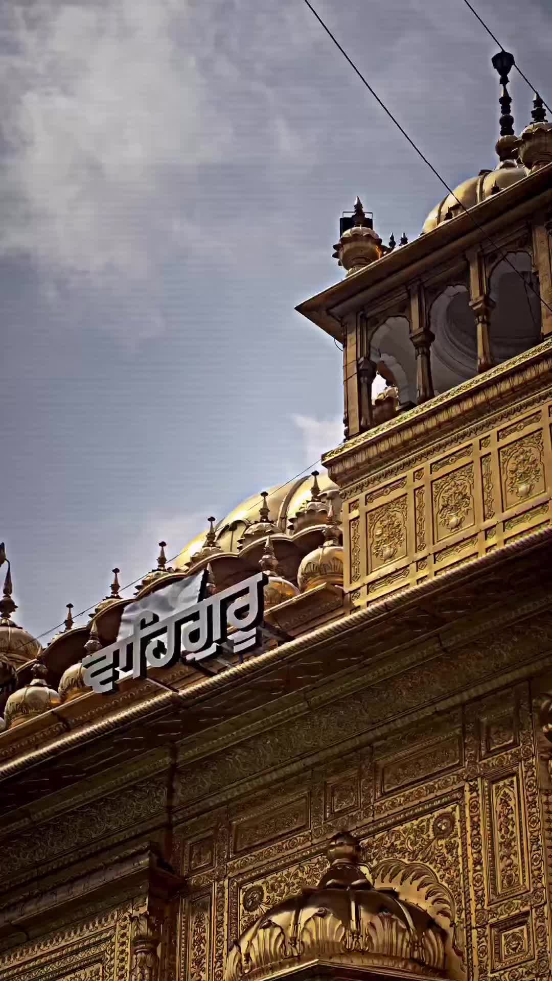 @amrit🦅