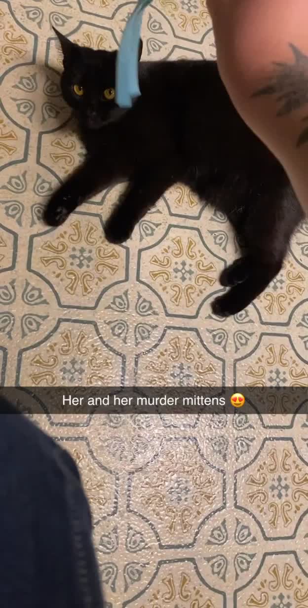 @Chasity Warner