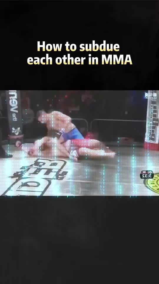 @fighting_kingfupanda