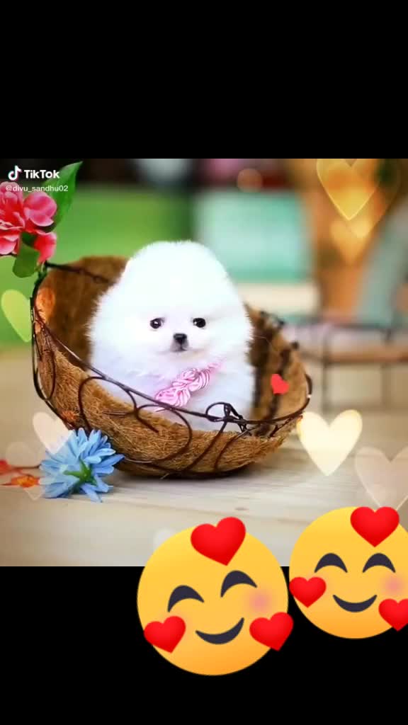 @# Anjalishu kushvaha