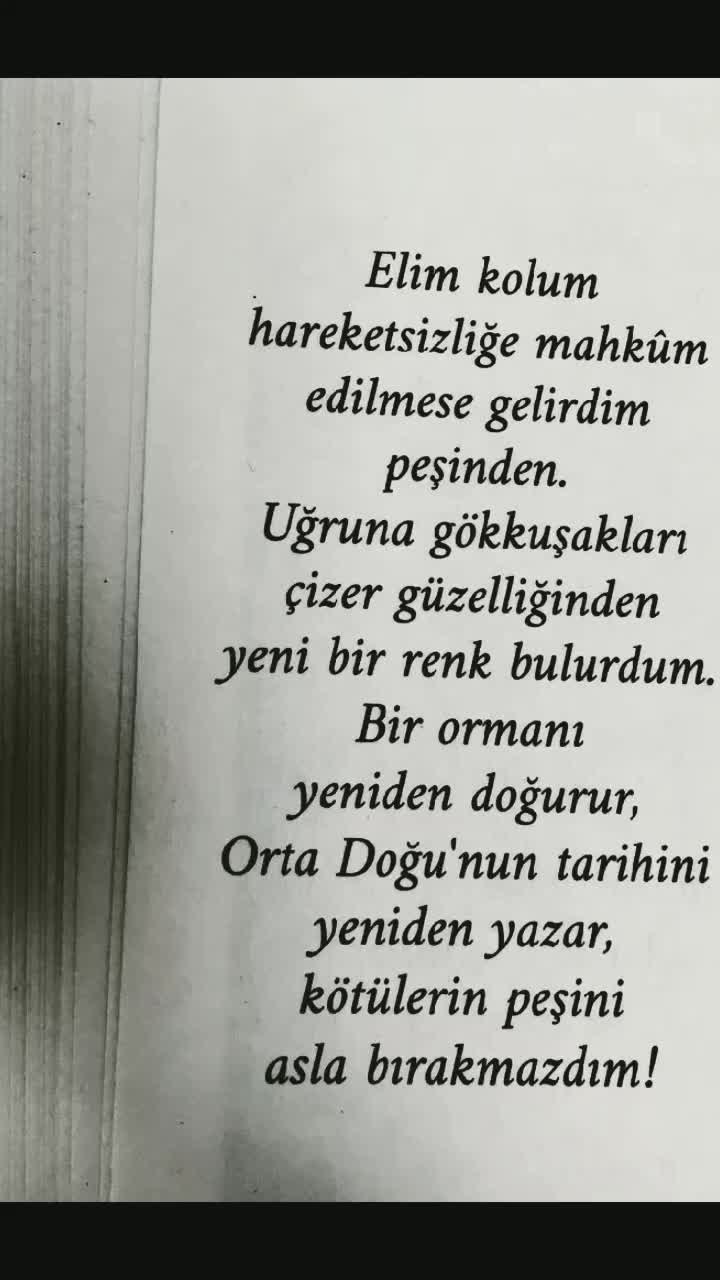 @kitap_kokusu