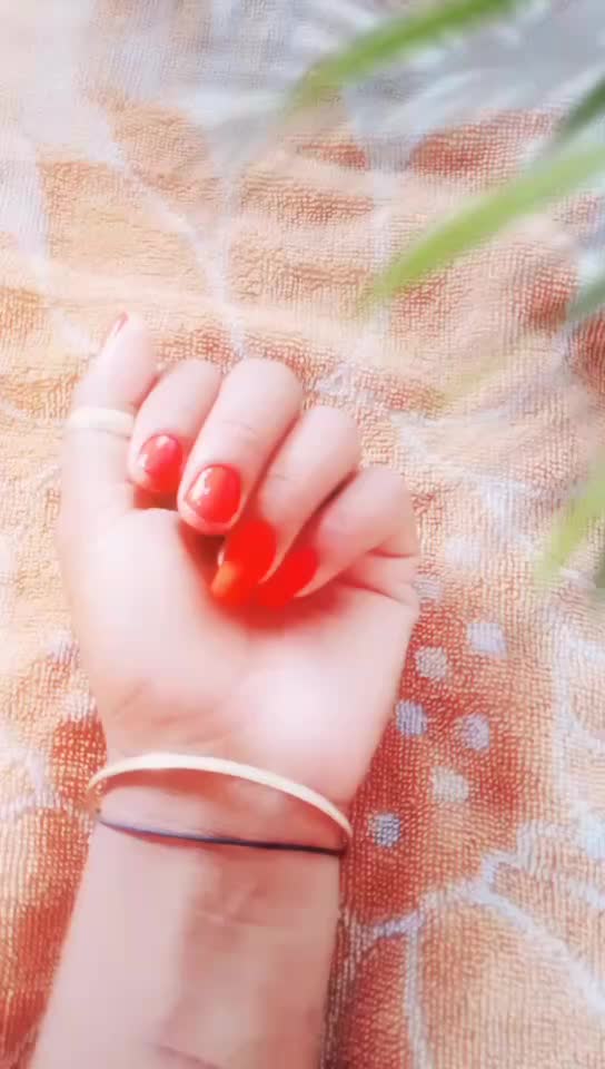 @user1051245662414