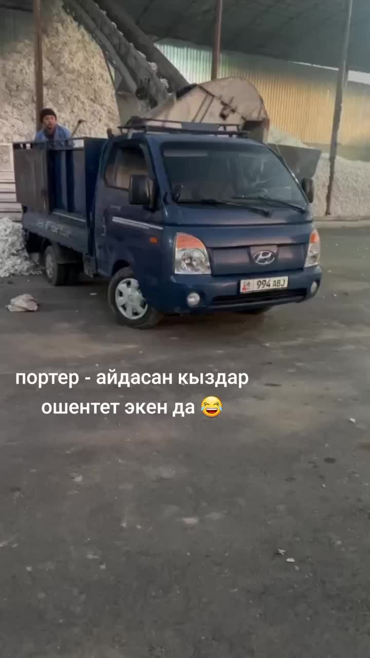 @Рома 🧢 509101413