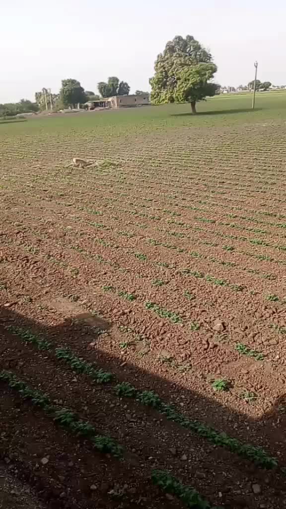 @Mehul Bhetariya