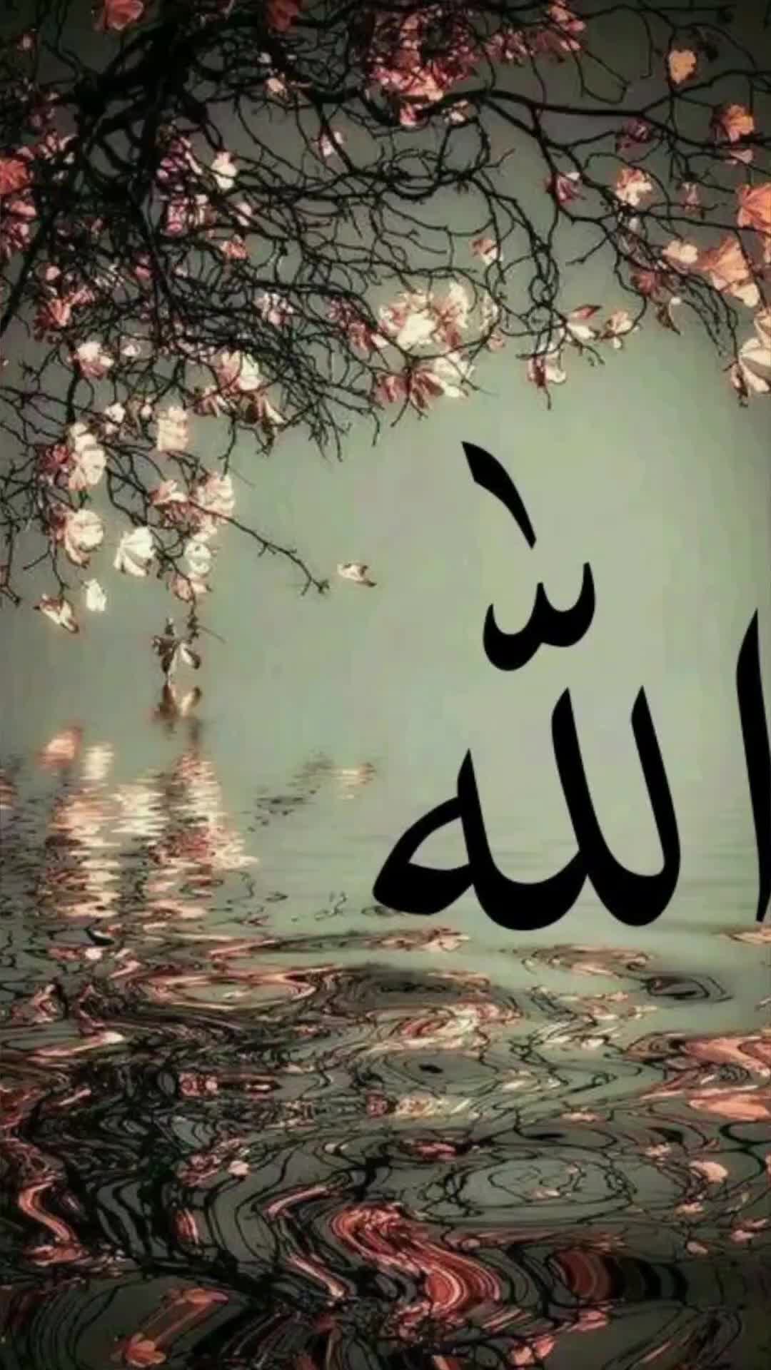 @Hafeeza_100