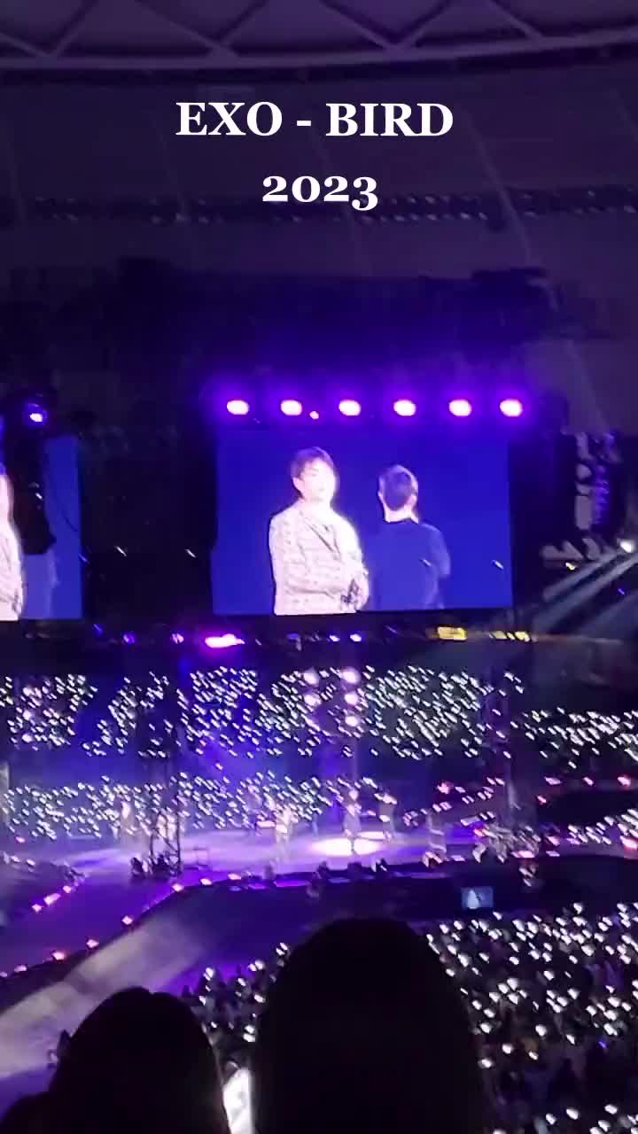 @saylee_hi