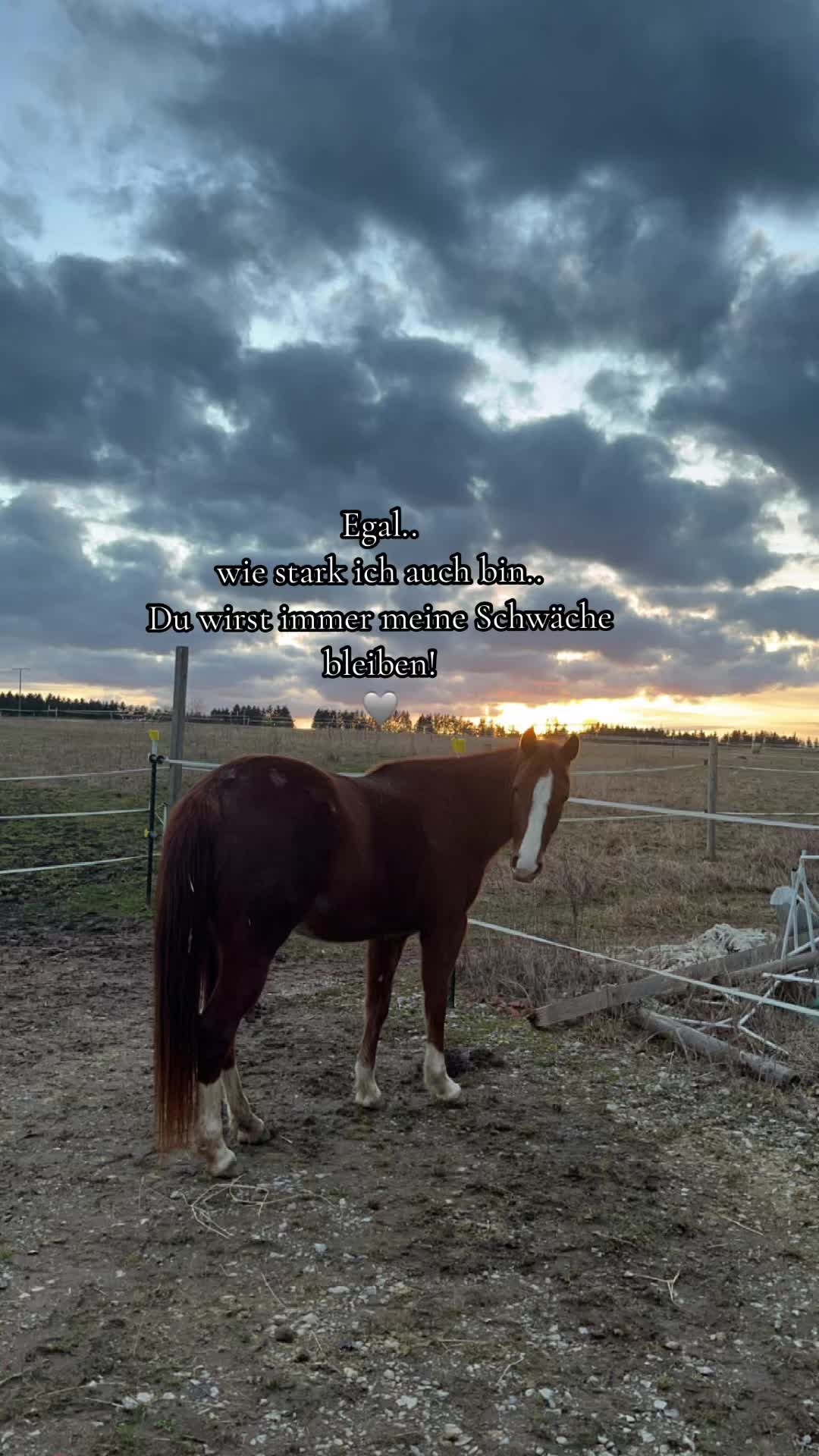 @𝕋𝕒𝕒𝕞𝕪