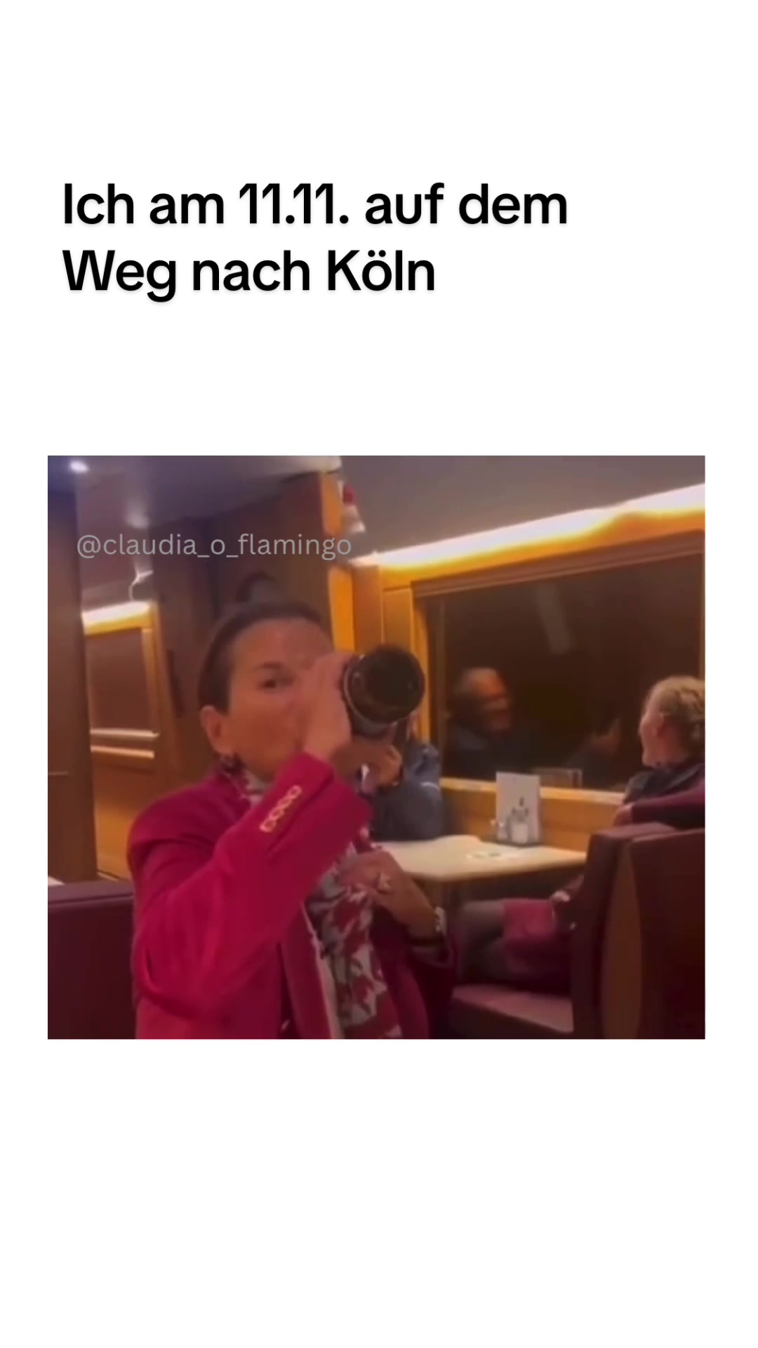 @claudia_o_flamingo