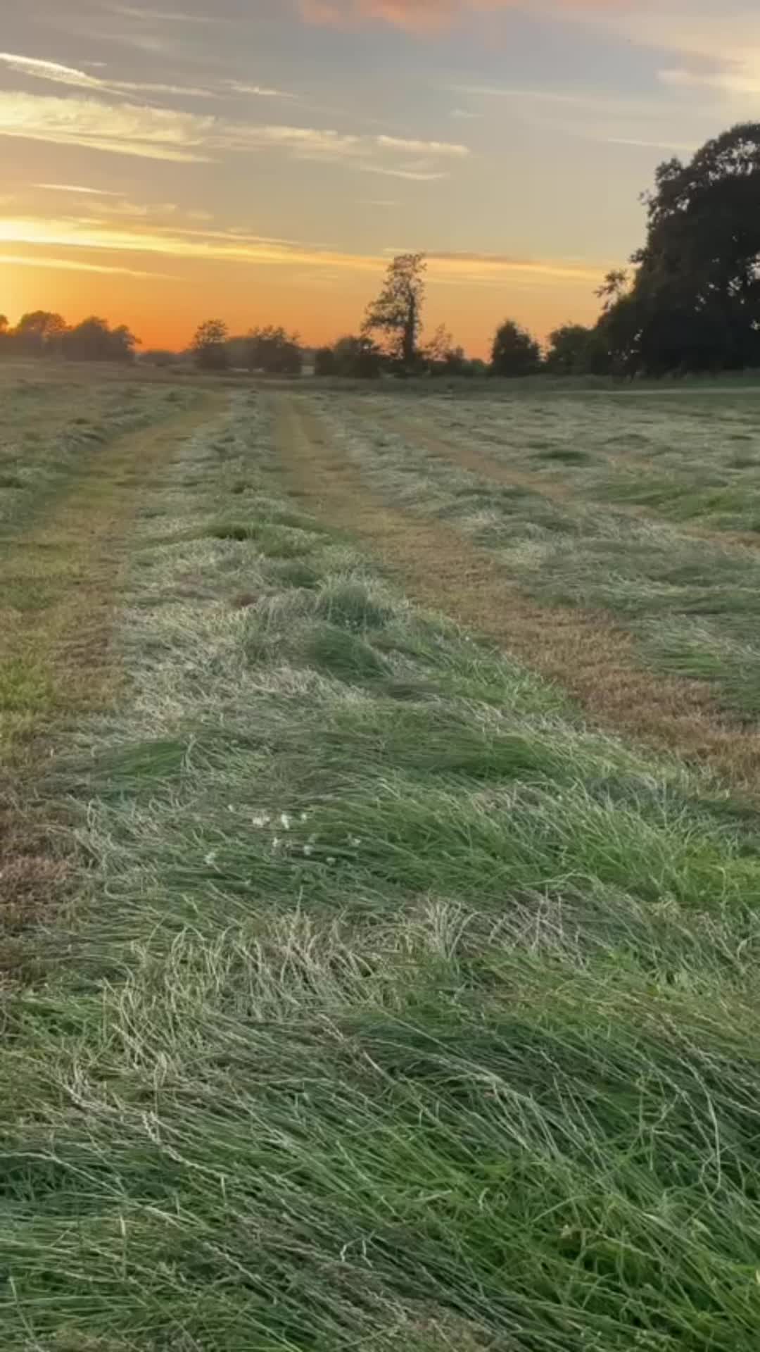 @Jackmurph73