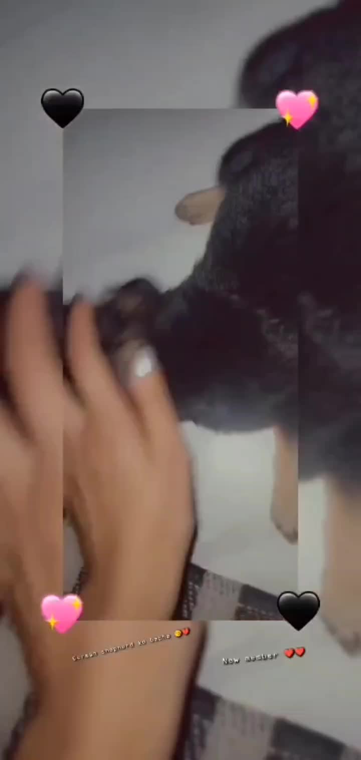 @Riza Baidya