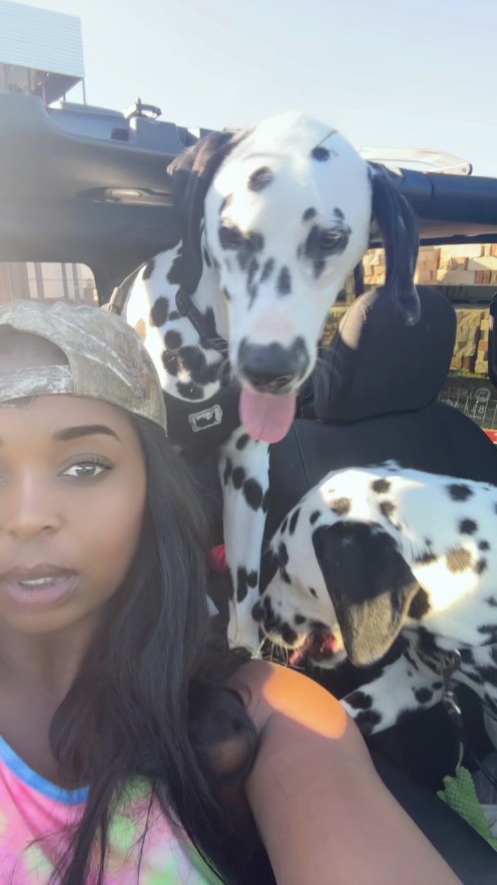 @DalmationMama