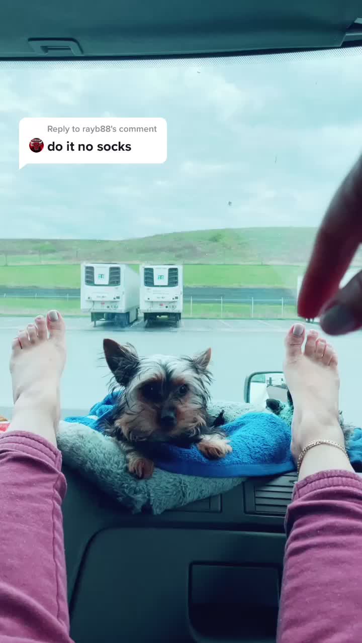 @𝐄ᥣ𝗂ƶαᑲ𝖾𝗍ɦ 𝐀ᥣ𝗏α𝗋𝖾ƶ