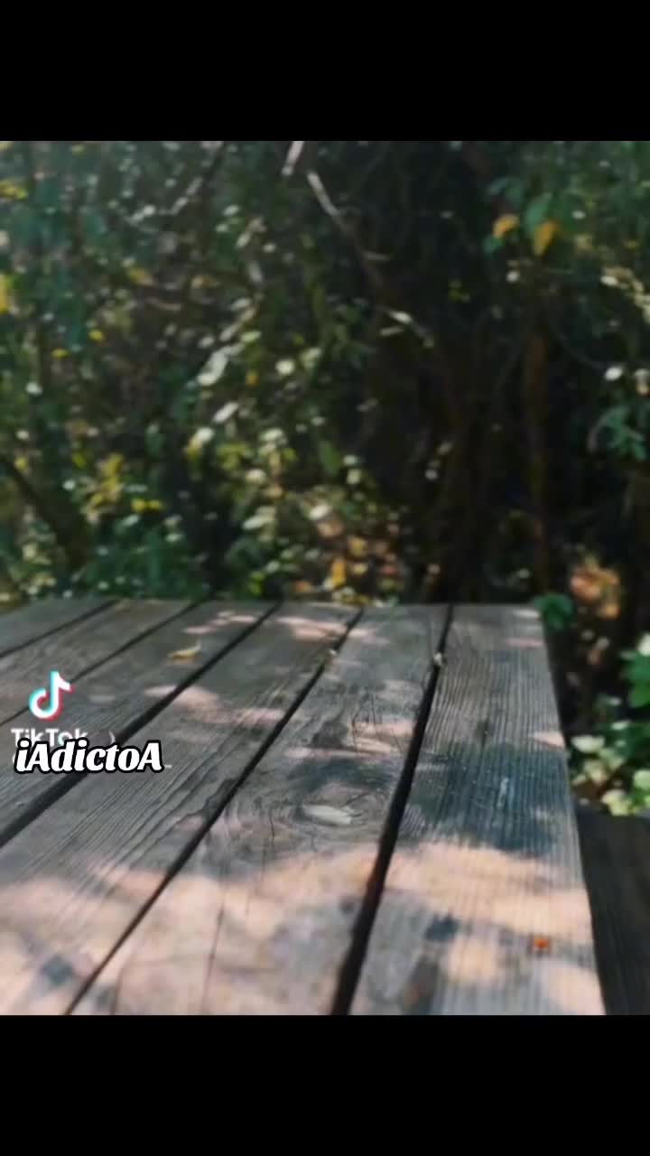 @iAdictoA