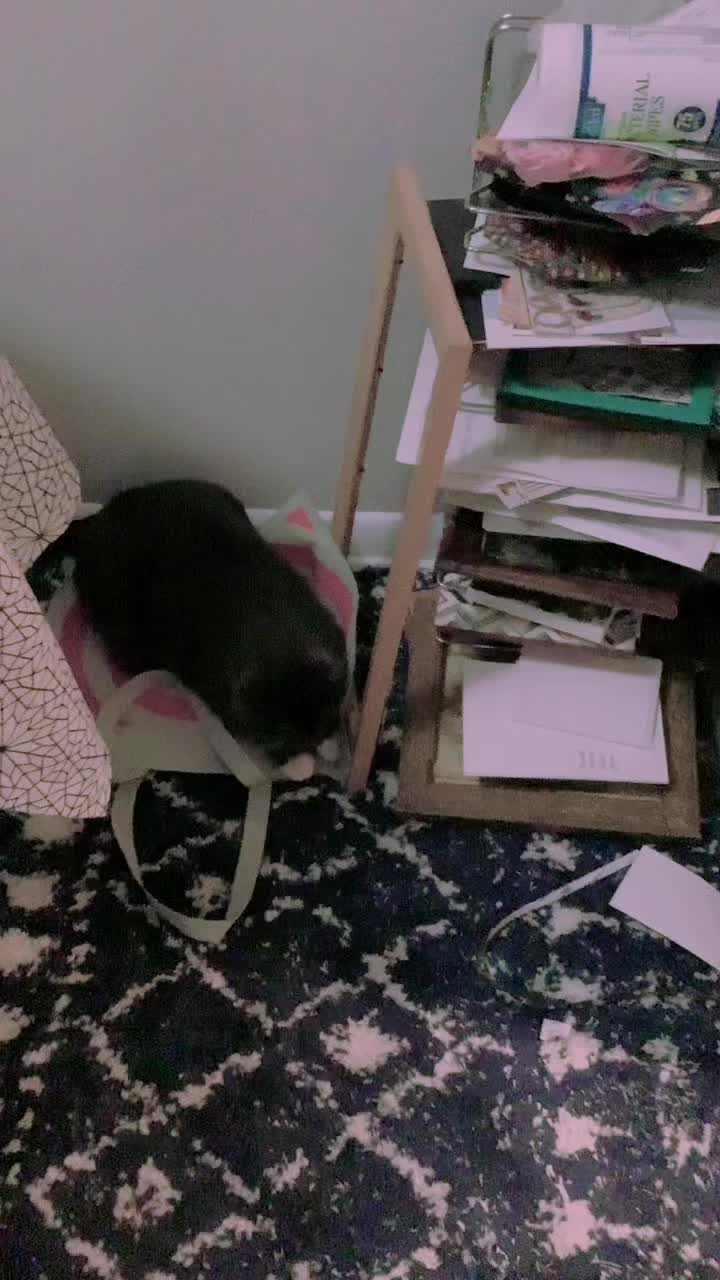@Grayartcat