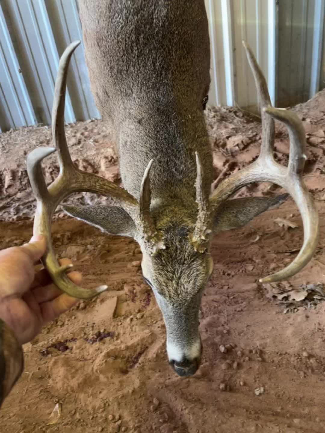 @Oklahoma ❌ 76
