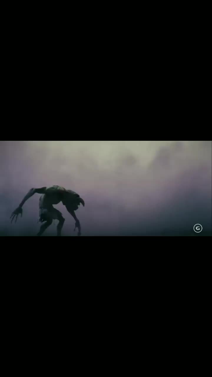 @wa.404